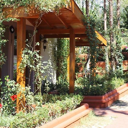 Boncuklu Otel Oludeniz Bagian luar foto