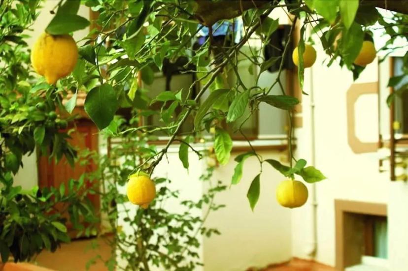 Boncuklu Otel Oludeniz Bagian luar foto